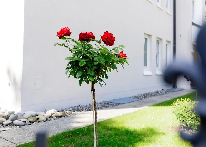 Haus Am Muehlenweg - 2 Haus I - Sonniges Und Modernes * Bad Wörishofen