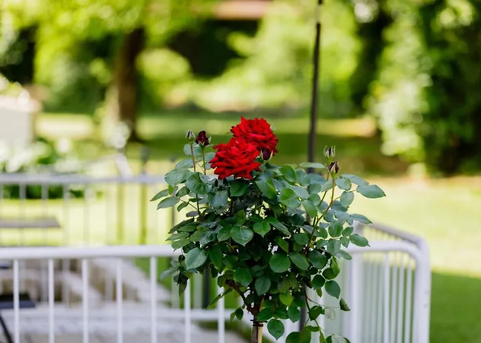 Haus Am Muehlenweg - 2 Haus I - Sonniges Und Modernes