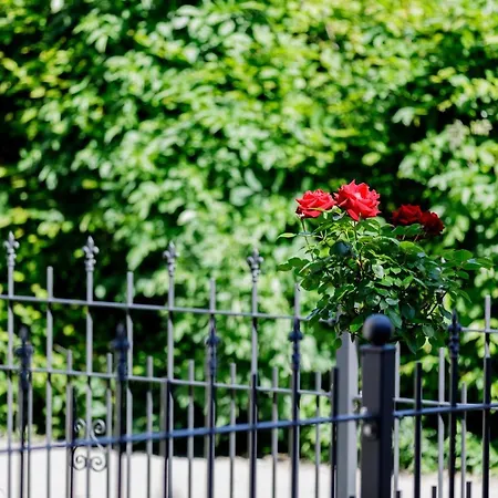 Haus Am Muehlenweg - 2 Haus I - Sonniges Und Modernes Apartment *