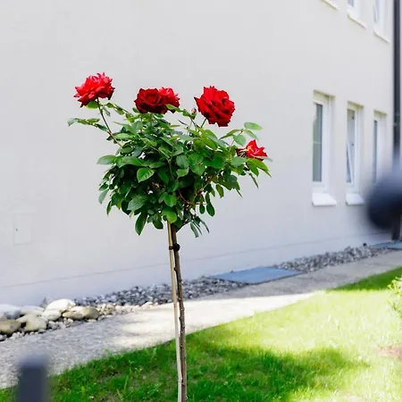 Haus Am Muehlenweg - 2 Haus I - Sonniges Und Modernes * Bad Worishofen